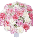 Special Bouquet XL | Flowers by post with free UK delivery | Bunches the online florist