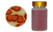 How Red Yeast Rice Powder Can make You Happy