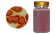 Natural Colorants Red Yeast Rice Powder | Health & Personal Care | Qualityherb.net