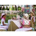 Sheriff Callie's Wild West Birthday Party Supplies & Theme Ideas