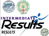 AP Intermediate Results 2014