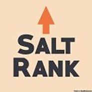 Salt Rank - Kansas City SEO Services