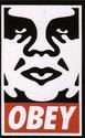 Shepard Fairey Obey clothing- Inspiration: Graffiti and Contemporary art