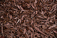 Popular Types of Mulch for Commercial Landscaping