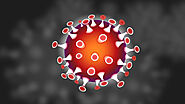 Coronavirus Live updates COVID 19 positive cases India and World- Coronavirus Live: अमेरिका में पिछले 24 घंटे में 63 ...