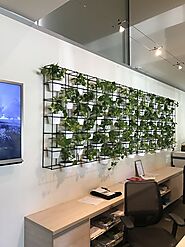 Make the Office a Better Place with Office Plants Melbourne