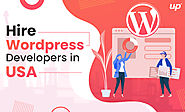 Hire Wordpress Developer to Make An Attractive Website for You