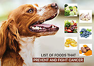 Natural Miracle cure for dog cancer? - No. 6 will Shock you.