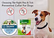 Choosing The Right Flea & Tick Preventive Collar For Dogs - BestVetCare
