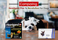 Comparing Heartgard Plus To Revolution For Dogs - BestVetCare