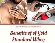 What are the benefits of Gold Standard Whey Protein?