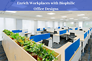 Enrich Workplaces with Biophilic Office Designs | Blog