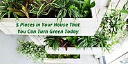 5 Places in House That You Can Turn Green | Fibre Cement Board | Ecopro