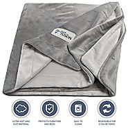 PetFusion Premium Medium Dog Blanket (44x34"). Reversible Gray Micro Plush. [100% soft polyester]