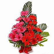 Send Flowers to Nagpur Via YuvaFlowers