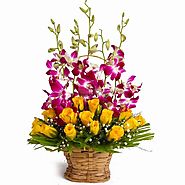 Send Flowers to Mumbai from YuvaFlowers