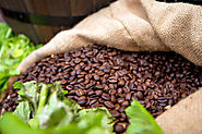 Curious About Organic Coffee? 4 Reasons to Try It!