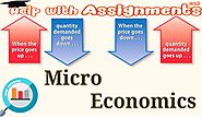 Microeconomics Homework Help