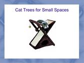Best Cat Trees for Small Spaces