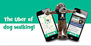 Launch Your Own Distinct Dog Walking on Demand Facility as a Fabulous Business