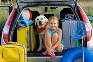 Fun Trips & Vacations – Great Travel Tips for Your Pet