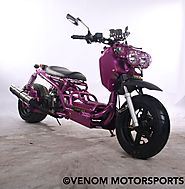 Buy Honda Ruckas scooter moped MADDOG Scooter Honda Clone PMZ50-19 Icebear – Venom Motorsports USA