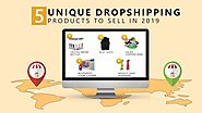 5 Unique Dropshipping Products To Sell in 2019