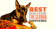 5 Best Dog Foods for German Shepherds - Best Dog Healthy Foods