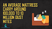 4. An average mattress carry around 100,000 to 10 million dust mites