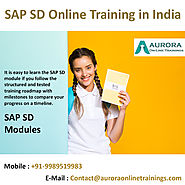 Real Time SAP SD Online Training | AuroraOnlinetrainings.com