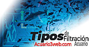TIPOS de Filtración del agua en el Acuario ჱ 2019 |▷ Acuario3web.com