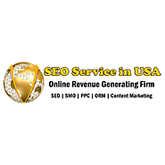 About Us – SEO Services in USA