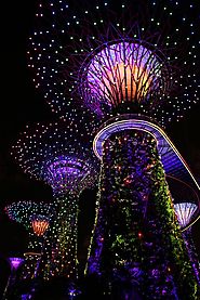 Sites to See in Singapore
