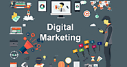 Benefits of Investment in Digital Marketing | 7 Seas Solutions