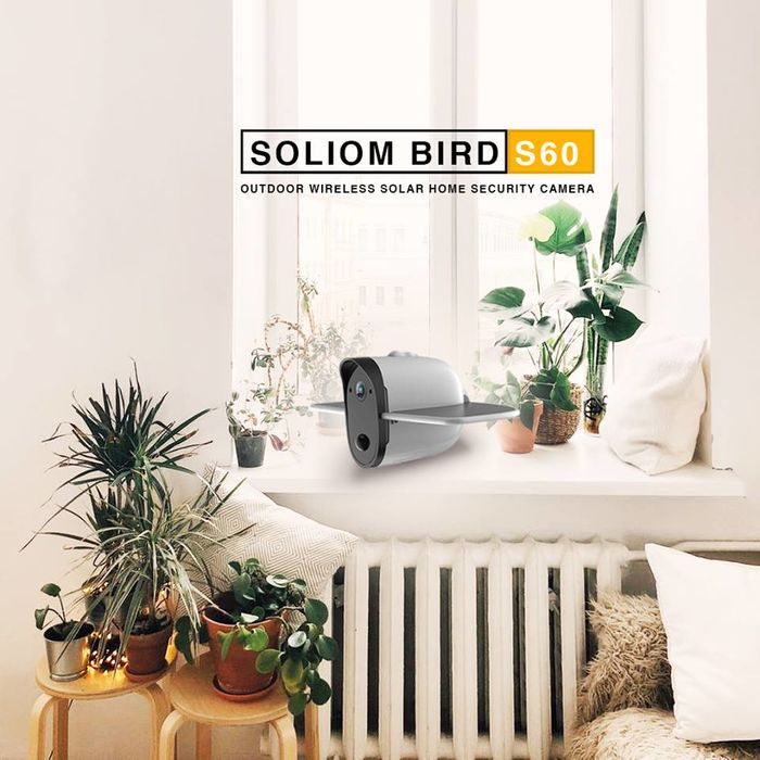soliom bird s60