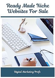 Ready Made Niche Websites For Sale | PDF
