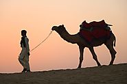 Voyage Organisé au Rajasthan