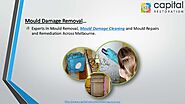 Why Should You Choose Professionals For Mould Removal Melbourne?Blog Hub