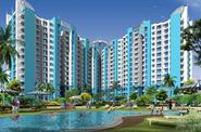 Amrapali Tropical Garden Noida