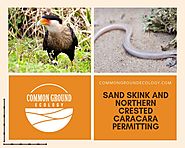 Sand Skink and Northern Crested Caracara Permitting