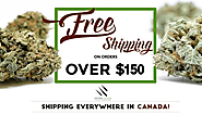 Top Reasons to Buy Marijuana Online in Canada |authorSTREAM