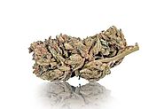 5 Steps to Buy Marijuana Flowers Online Easy and Safely – ASTRO LEAFS ONLINE DISPENSARY