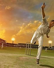 What is fantasy sports cricket?