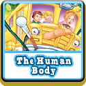 Pop Quiz: The Human Body | Magic School Bus | Scholastic.com