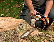 Quick Tree Stump Removal in Liverpool, Cabramatta & Pennant Hills | Active Tree