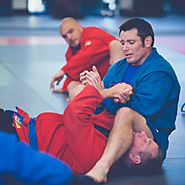 Everything to Know about BJJ Fighting