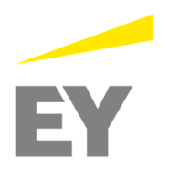 Internal Audit Solutions by Professionals at EY India