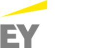 Technology Consulting Services by EY India
