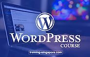 Enroll in Web designing and WordPress Courses to Have Sound Career in Web Development field.