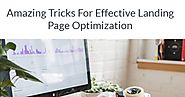 Amazing Tricks For Effective Landing Page Optimization | Infographic